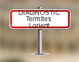 Diagnostic Termite ASE  à Lorient